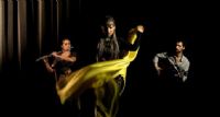 Kaléïdès, danses et musiques du monde (Flamencas, tsiganes, balkaniques et orientales). Du 24 septembre au 3 octobre 2015 à Nantes. Loire-Atlantique.  19H00